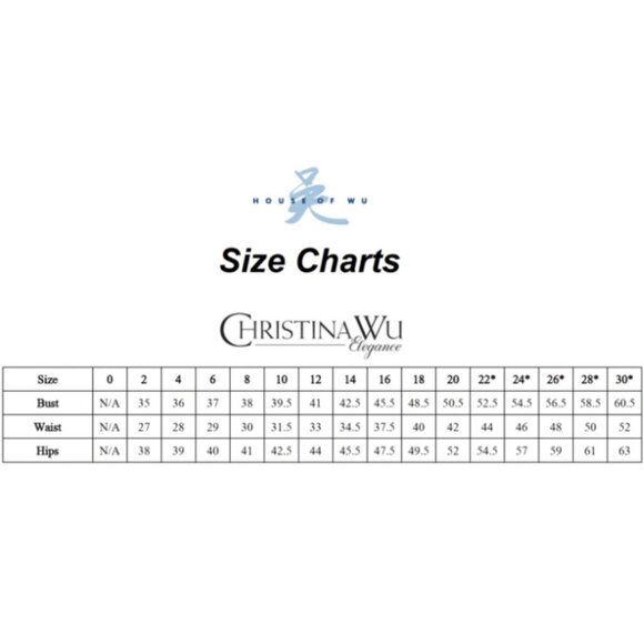 SALE NWT Christina Wu Elegance 20176 Lace Mother of the Bride Dress Cream Size 8 - Picture 6 of 9